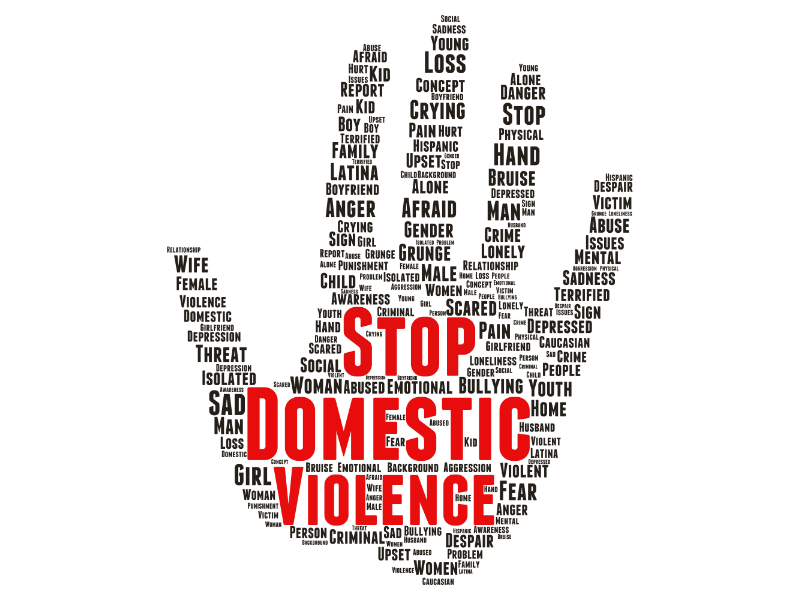 domestic violence act - family lawyers Johannesburg